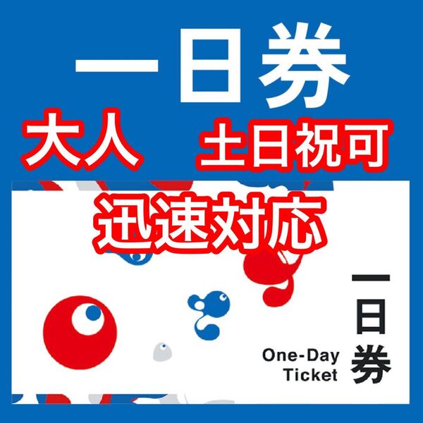 大阪関西万博 大人1日券 1枚