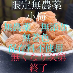 和歌山紀州 無農薬小梅 無添加無着色