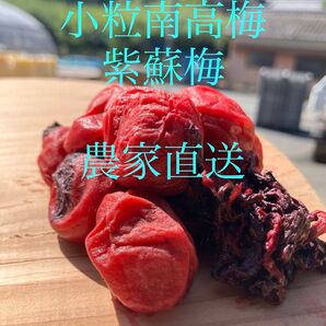 和歌山 紀州 紫蘇梅 小粒南高梅使用 農家直送 着色料 保存料なし 昔ながらの紫蘇梅 今月号のクロワッサンに掲載中