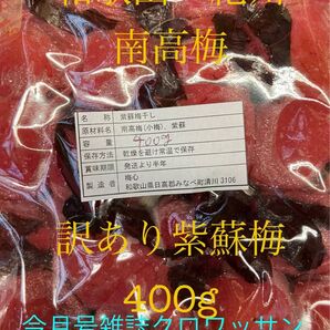 和歌山 紀州 南高紫蘇梅 訳あり 大切れお徳用 着色料 保存料なし 昔ながらの紫蘇梅