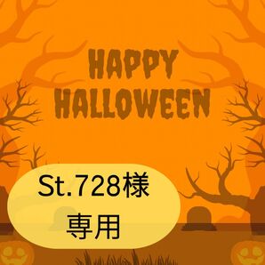 St.728様専用ページです