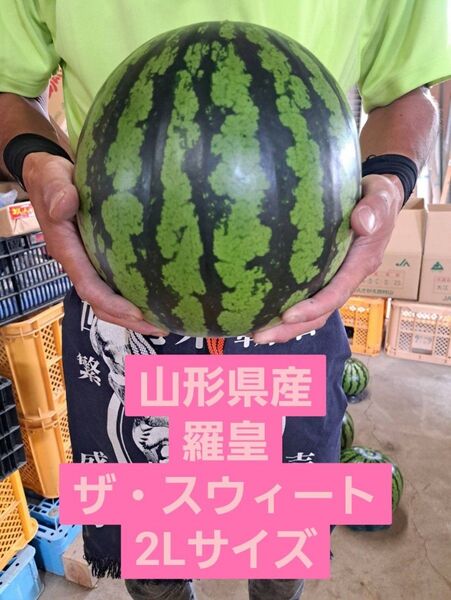 山形県産 すいか 羅皇ザ・スウィート 2Lサイズ 家庭用
