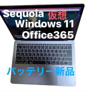 ※仮想、MacBook pro,2017、13インチsequoia ,windows11,office365