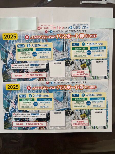 ナガシマスパーランド パスポート券 2枚