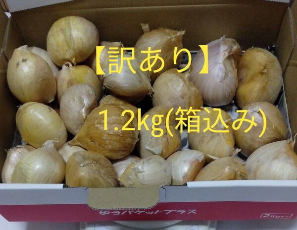 【訳あり・種用】ジャンボニンニク バラ約1.2㎏(箱込み) ①