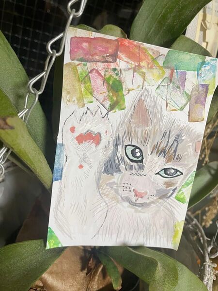 手描きの水彩画 猫の絵