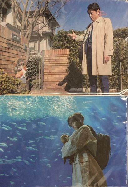 映画 おっさんのパンツがなんだっていいじゃないか! クリアファイル 2枚 ネプチューン 原田泰造 FANTASTICS 中島颯太