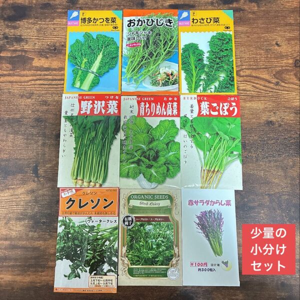 珍しい葉物野菜入り 9種類セット 野菜の種