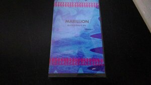 美品 VHS MARILLION マリリオン ROCKSTEADY'91 ビデオ Guitar Master Class 総尺40分