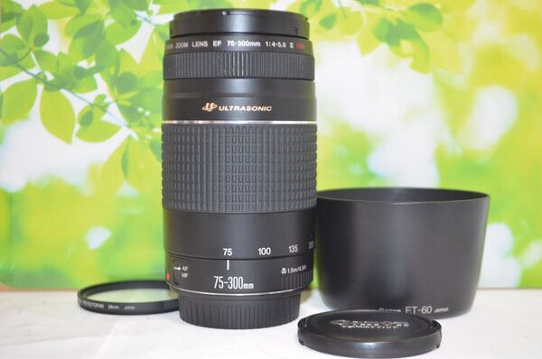★新品級★300mm超望遠レンズ★CANON EF 75-300mm