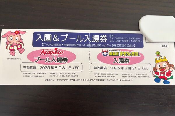 おもちゃ王国 招待券 チケットセット 入園券 プール入場券