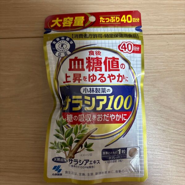 小林製薬 サラシア100 40日分 120粒 送料無料