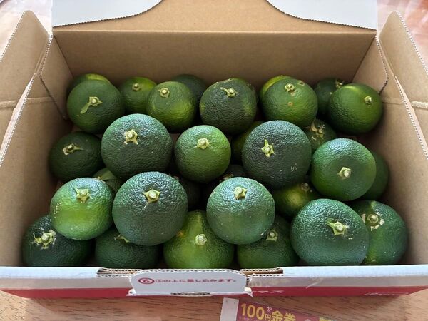 すだち 1kg(箱別) 自家栽培 無農薬 送料無料