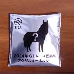 2024年GⅠレース優勝馬アクリルキーホルダー ロマンチックウォリアー