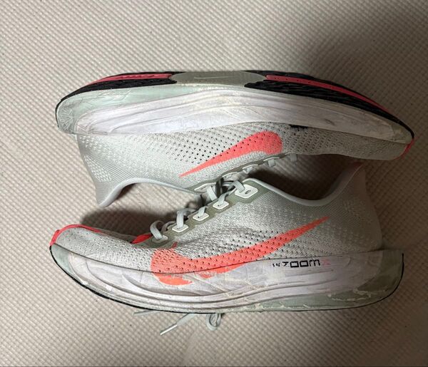 NIKE ナイキ ペガサスプラス 27.0cm 初期カラー