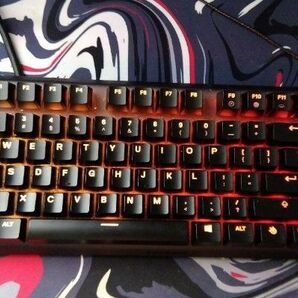 SteelSeries Apex Pro TKL キーボード