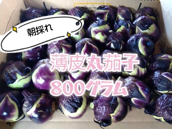 山形県産 薄皮丸茄子 800グラム