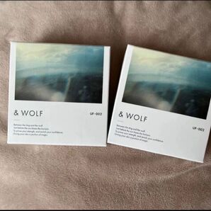 Nオーガニック &WOLF セラムリキッドファンデーション本体UF-002×2個