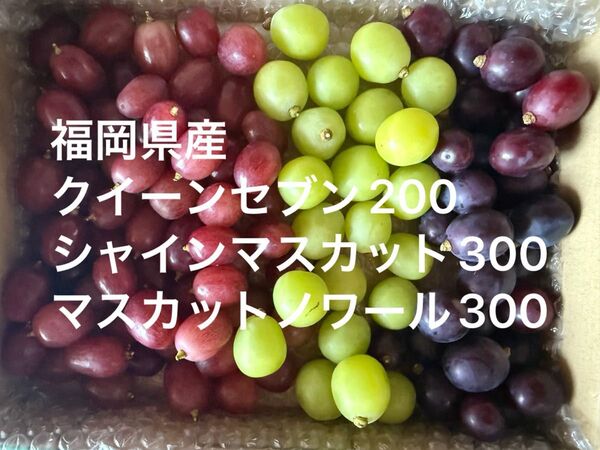 福岡産朝採りシャインマスカット300クイーンセブン200マスカットノワール300