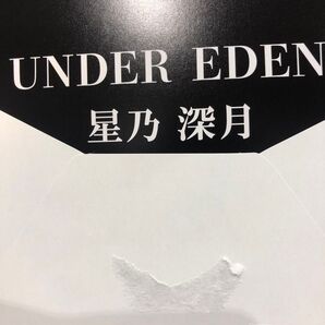 アンダーエデン公式グッズ 在籍オススメ嬢3Dカードコレクションvol.01 星乃 対魔忍 コミケ C105 C106