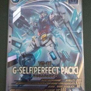 Gセルフパーフェクトパック アーセナルベース