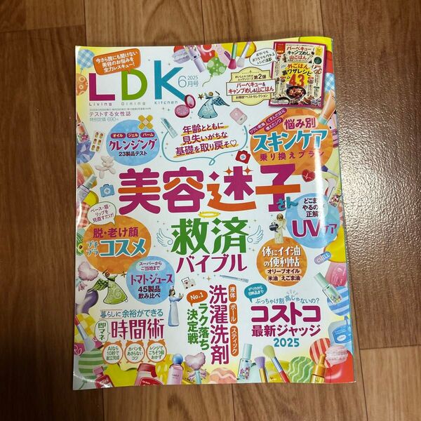 LDK 2025年6月 晋遊舎