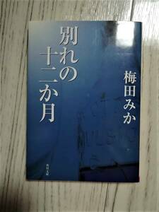 別れの十二か月 ★梅田みか★７９％OFF★