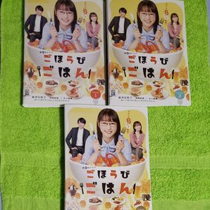 ごほうびごはん 全3巻 レンタル版 DVD ケース無し 桜井日奈子
