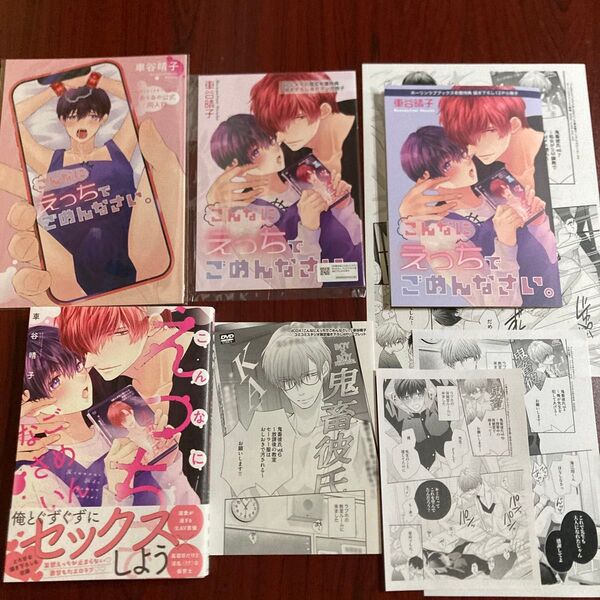 『こんなにえっちでごめんなさい。』 車谷晴子 9種特典 初版本 ネコポス送料込み 帯切取り無し