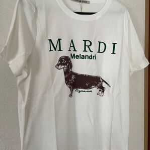 Tシャツ ホワイト