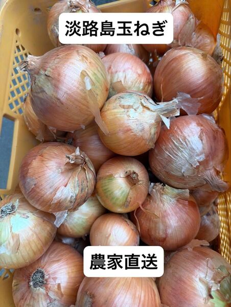 淡路島玉ねぎ20kg【訳あり】
