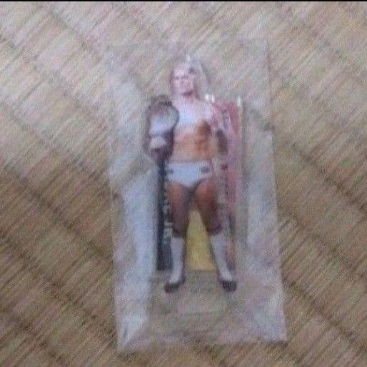 新日本プロレス シンニチプレミアムくじ NEW JAPAN PRO WRESTLING ザック・セイバーJr.