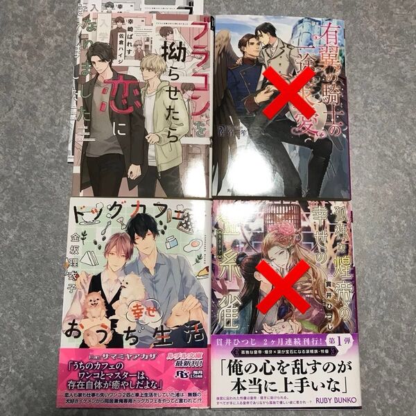 BL 小説 セット 2冊650円〜