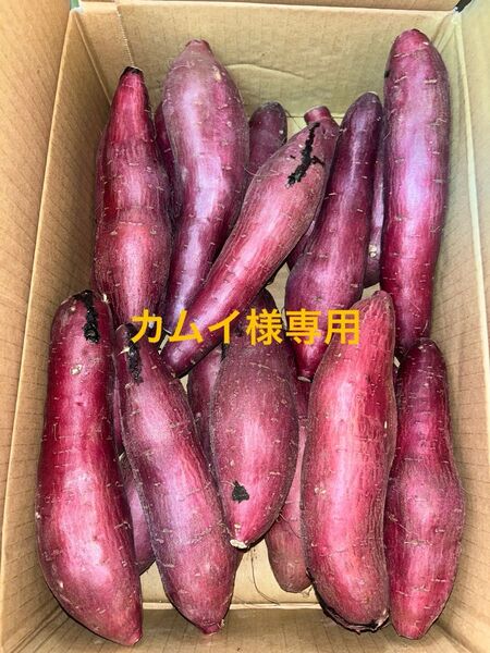 千葉県産紅はるかM 15㎏