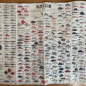 魚譜431選 ポスター 魚 魚類 図鑑 一覧