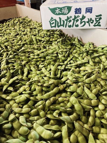 本場白山産 だだちゃ豆良品 800g