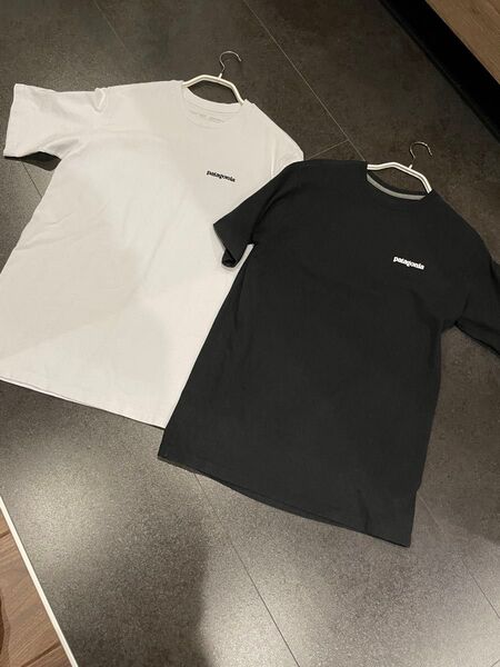 Patagonia パタゴニア Tシャツ 2枚セット