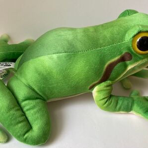 リアルカエルMSぬいぐるみ