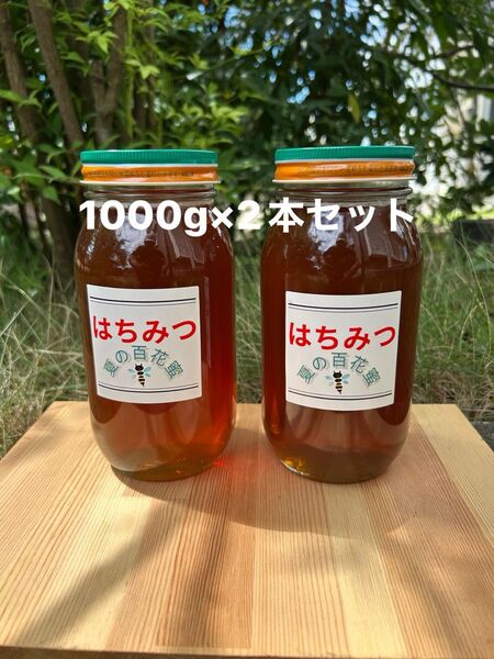 国産 純粋ハチミツ 夏の百花蜜 1000g×2(ビン2本セット)☆抗生物質不使用の安心・安全な本物のハチミツ