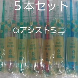 歯科医院専用5本 Ciアシストミニ歯ブラシ