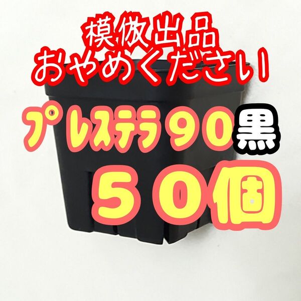 《プレステラ90》黒 50個 プラ鉢スリット鉢 多肉植物 植木鉢 【3号鉢】 相当