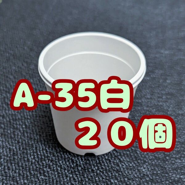 プラ鉢《A-35》白 20個 プラ鉢 3.5号相当 スリット鉢 多肉植物 プレステラ 植木鉢