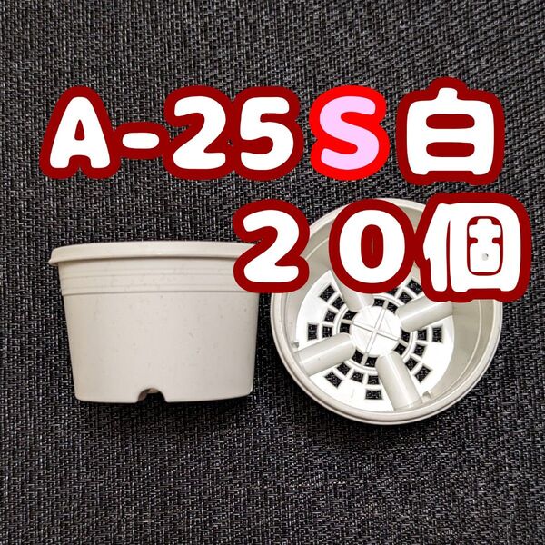 プラ鉢《A-25S》白 20個 プラ鉢 2.5号相当 スリット鉢 多肉植物 プレステラ 植木鉢