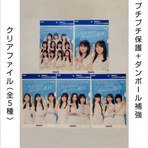 【匿名配送・送料無料】乃木坂46『カルピス』選抜 オリジナルB5クリアファイル(全5種)