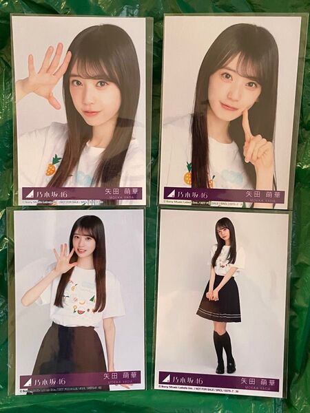 乃木坂46 生写真 矢田萌華 コンプ same numbers