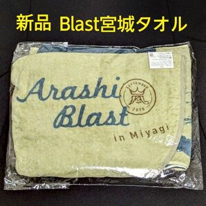 嵐 Blast in Miyagi 宮城 フード付きタオル マフラータオル バスタオル ロングタオル フェイスタオル 新品未使用