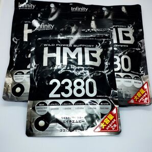 【3袋セット】Infinity WILD POWER SUPPORT HMB 2380mg 320粒