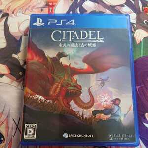 PS4 PS4ソフト シタデル ファンタジー サバイバル
