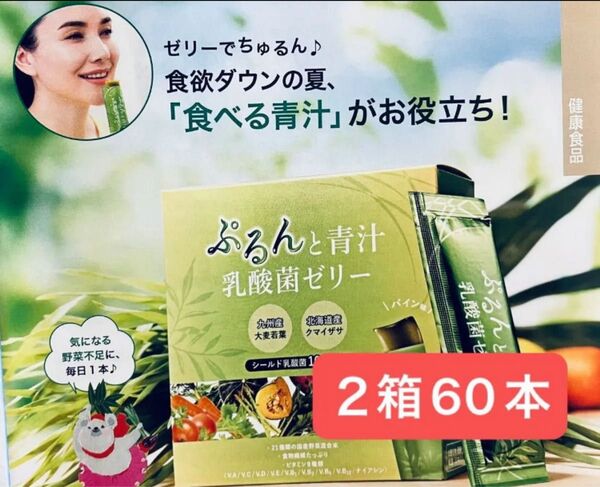 60本 ぷるんと青汁 乳酸菌ゼリー シールド乳酸菌100億個 ビタミン9種+21種の国産野菜 食物繊維 鉄分 1日1包 青汁