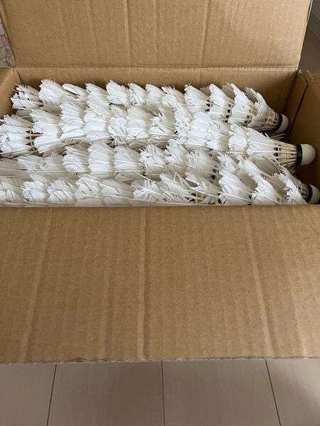 バドミントンシャトル 中古240個 ノック、バッティング練習用 ボロシャトル ノック バドミントン